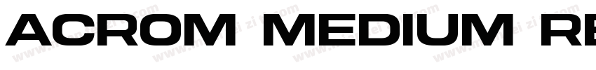 Acrom Medium Regular字体转换